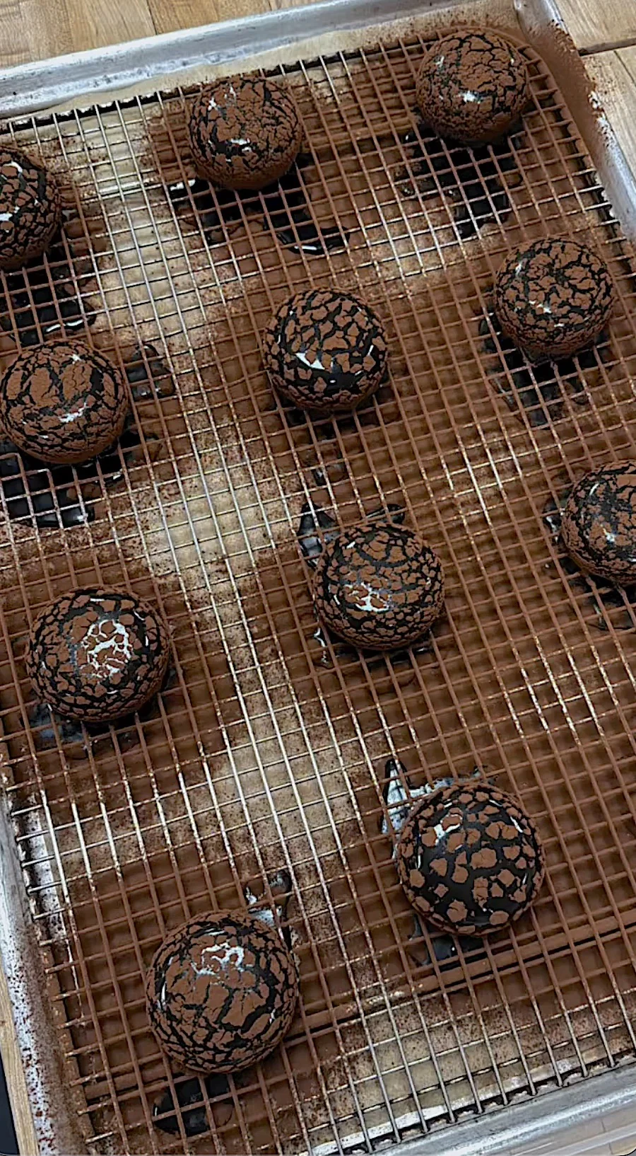 Rocher — hand-rolled hazelnut praline glazed in 64% dark chocolate with textural cocoa crackle